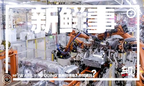 走進上汽大眾長沙工廠 車媒老鳥的圓夢之旅，探秘斯柯達泥地打樁機般完美品質