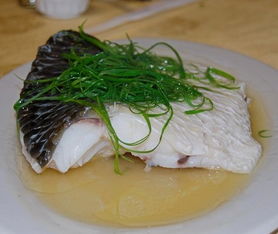 知魚堂餐飲產品與加盟店體驗全面解析 品質與管理如何引領市場？